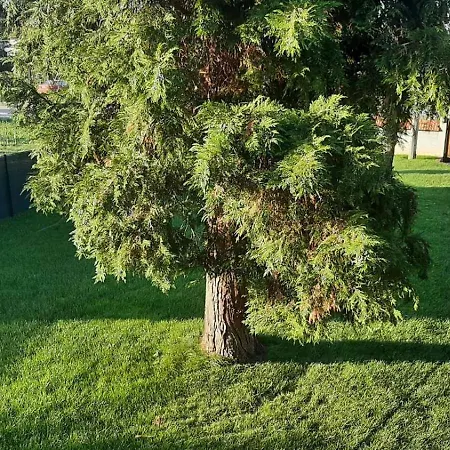 펜션 Sanctuary 30 Min From Downtown Belgrade